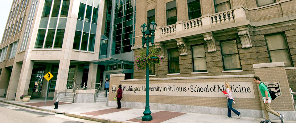 Education | Division of Dermatology | Washington University in St. Louis